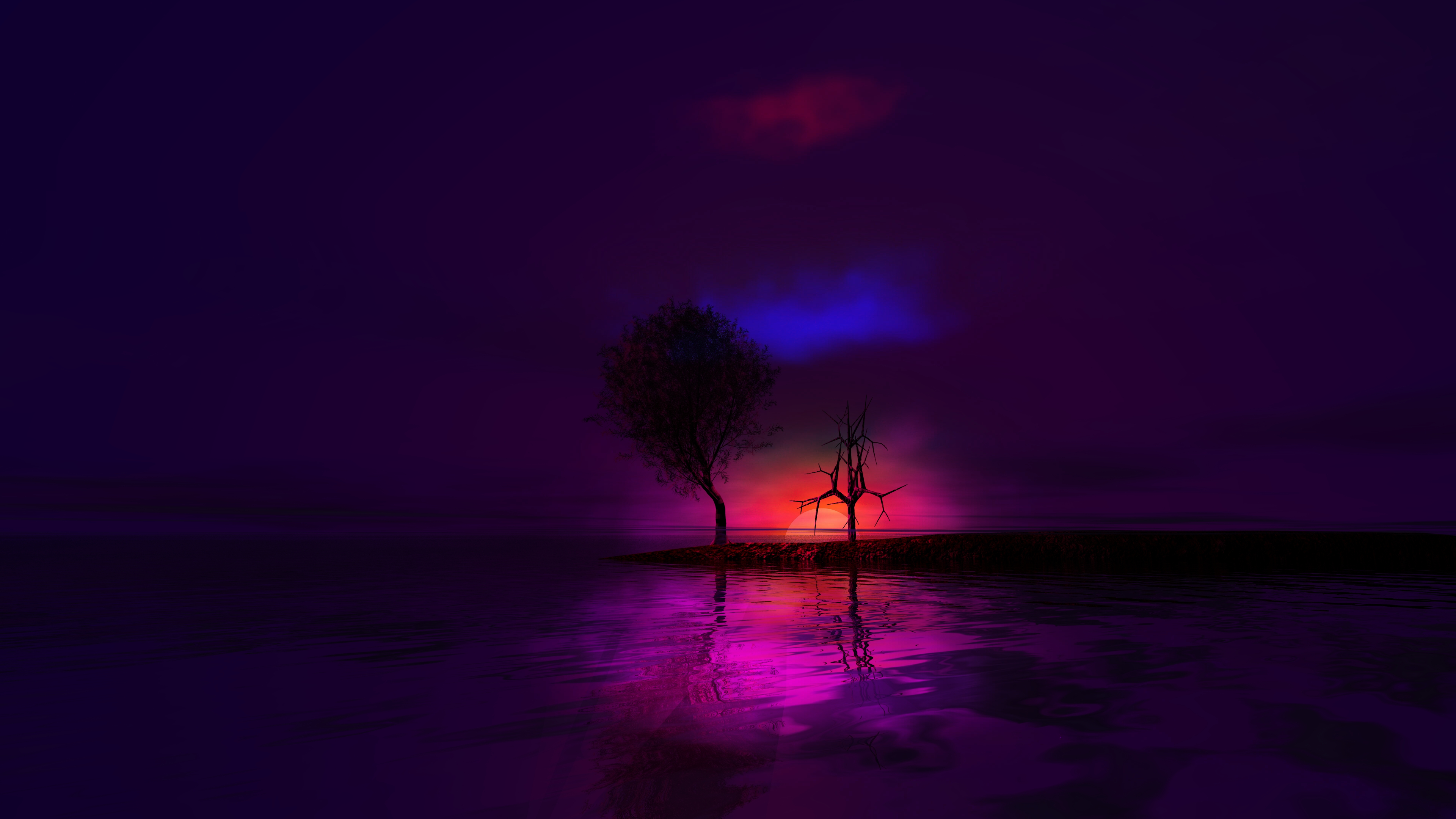 光影交织的风景